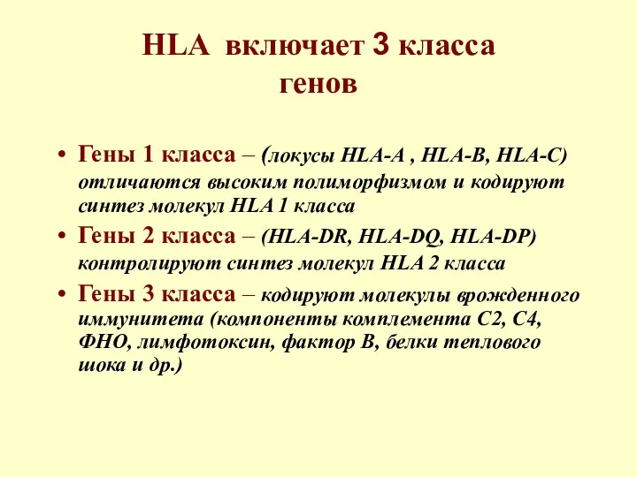 HLA включает 3 класса генов Гены 1 класса – (локусы