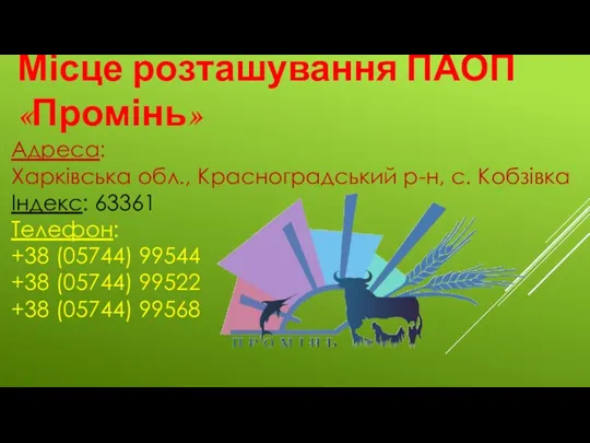 Адреса: Харківська обл., Красноградський р-н, с. Кобзівка Індекс: 63361 Телефон: