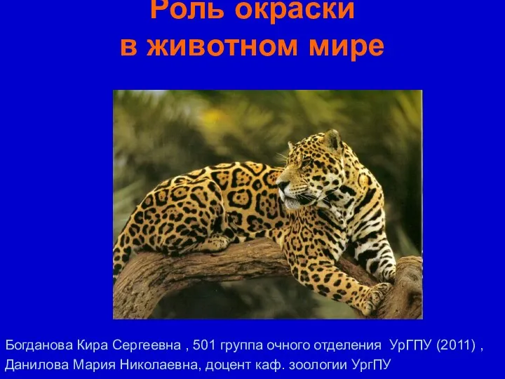 Роль окраски в животном мире Богданова Кира Сергеевна , 501 группа очного отделения