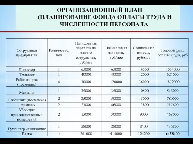 ОРГАНИЗАЦИОННЫЙ ПЛАН (ПЛАНИРОВАНИЕ ФОНДА ОПЛАТЫ ТРУДА И ЧИСЛЕННОСТИ ПЕРСОНАЛА