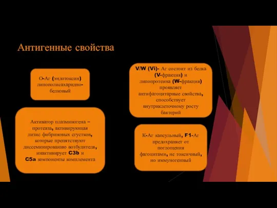 Антигенные свойства О-Аг (эндотоксин) липополисахаридно-белковый К-Аг капсульный, F1-Аг предохраняет от