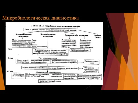 Микробиологическая диагностика