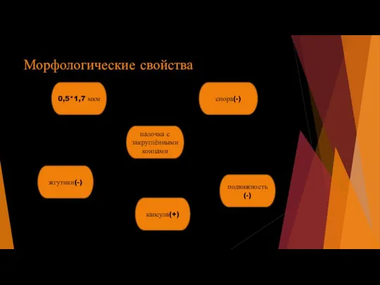 Морфологические свойства 0,5*1,7 мкм палочка с закруглёнными концами капсула(+) жгутики(-) спора(-) подвижность(-)