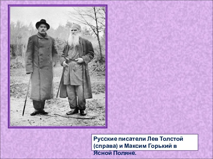 Русские писатели Лев Толстой (справа) и Максим Горький в Ясной Поляне.