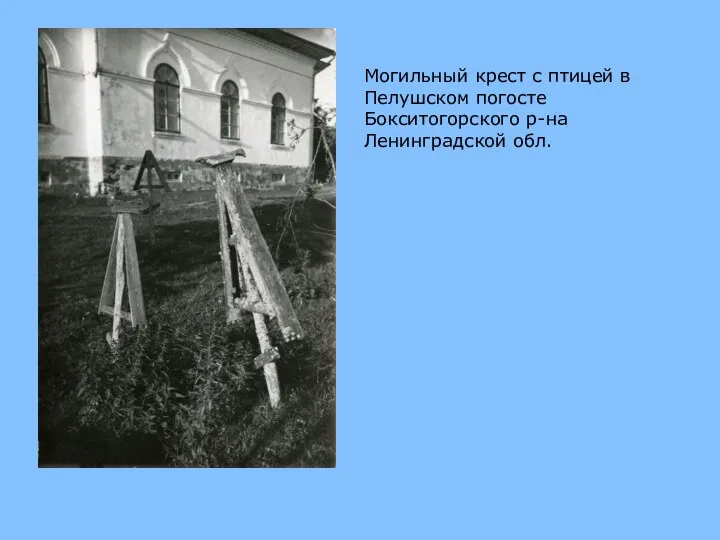 Могильный крест с птицей в Пелушском погосте Бокситогорского р-на Ленинградской обл.