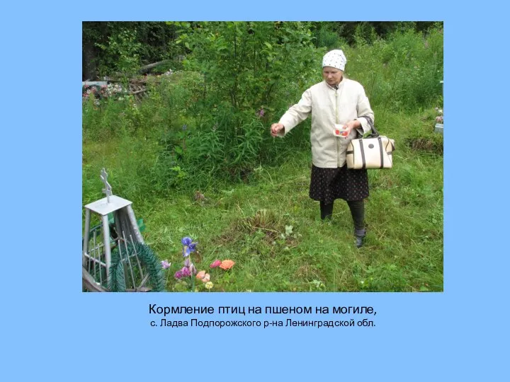 Кормление птиц на пшеном на могиле, с. Ладва Подпорожского р-на Ленинградской обл.