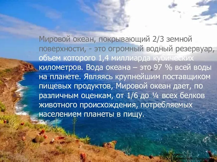 Мировой океан, покрывающий 2/3 земной поверхности, - это огромный водный