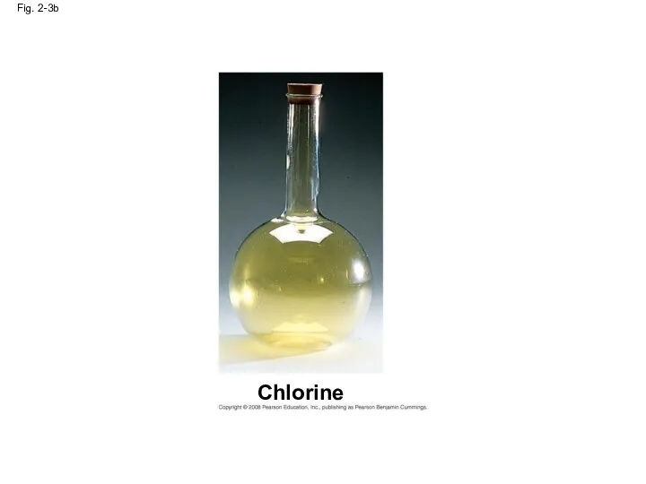 Fig. 2-3b Chlorine
