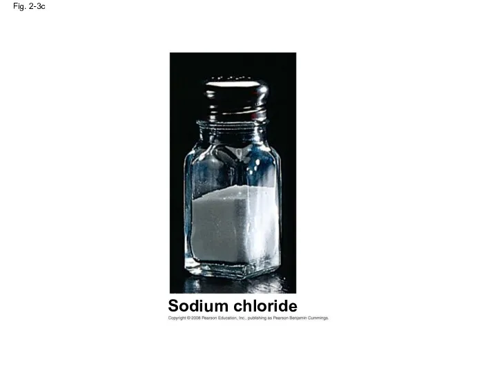 Fig. 2-3c Sodium chloride