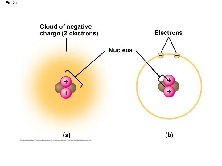 Cloud of negative charge (2 electrons) Fig. 2-5 Nucleus Electrons (b) (a)