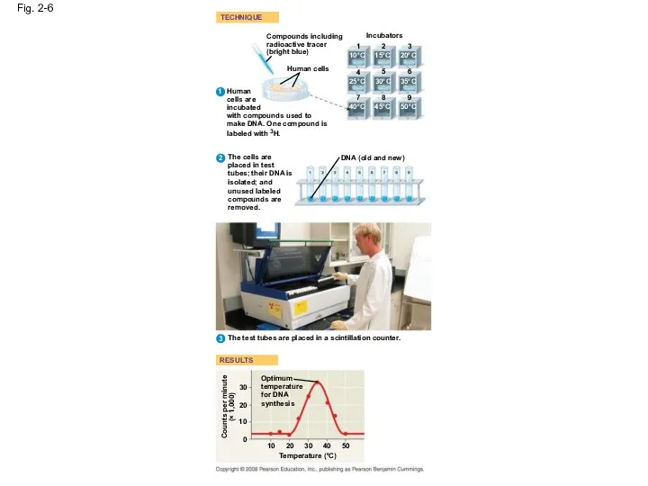 Fig. 2-6 TECHNIQUE RESULTS Compounds including radioactive tracer (bright blue)