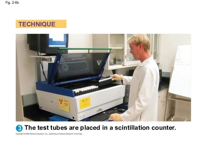 Fig. 2-6b TECHNIQUE The test tubes are placed in a scintillation counter. 3