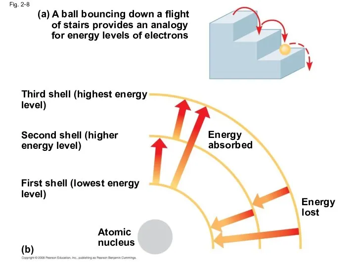 Fig. 2-8 (a) A ball bouncing down a flight of