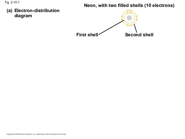 Fig. 2-10-1 Electron-distribution diagram (a) Neon, with two filled shells (10 electrons) First shell Second shell