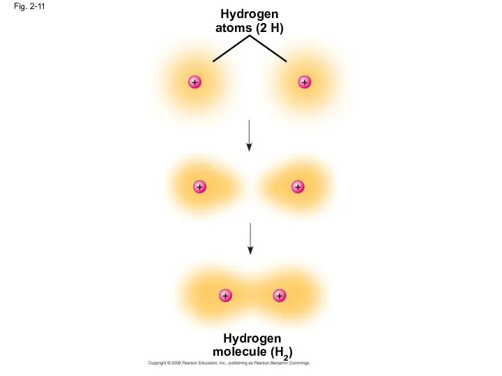 Fig. 2-11 Hydrogen atoms (2 H) Hydrogen molecule (H2)