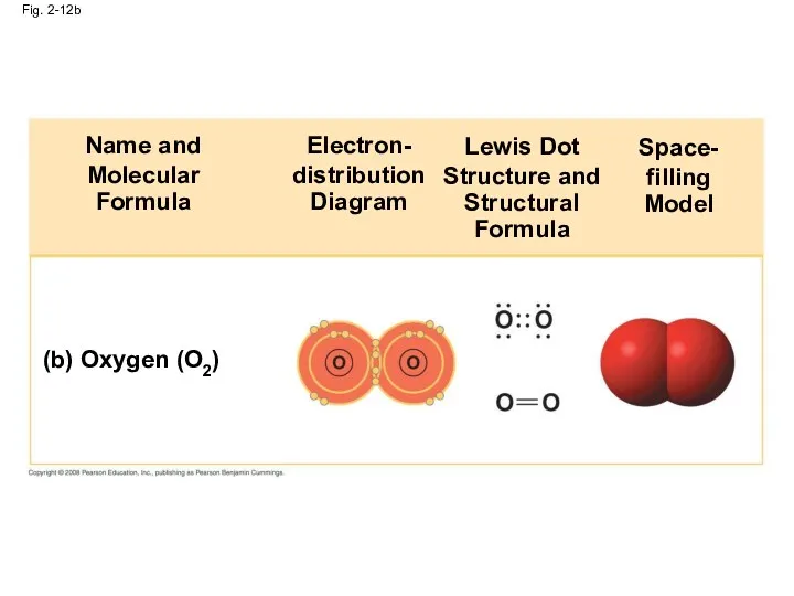 Fig. 2-12b (b) Oxygen (O2) Name and Molecular Formula Electron-