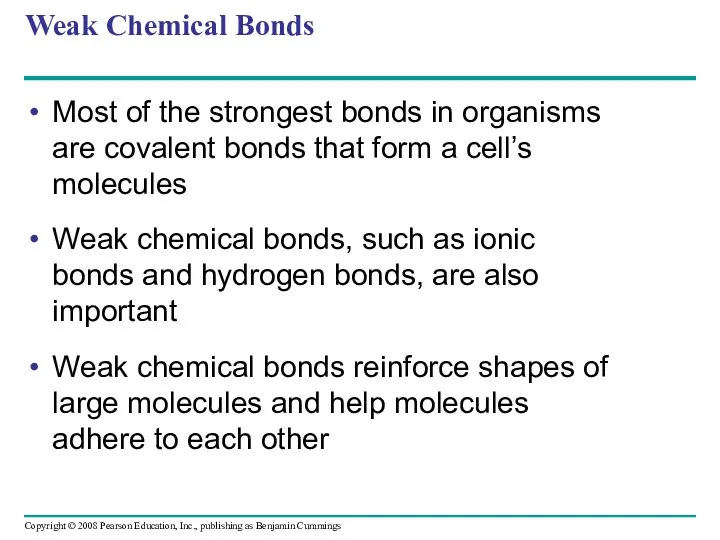 Weak Chemical Bonds Most of the strongest bonds in organisms