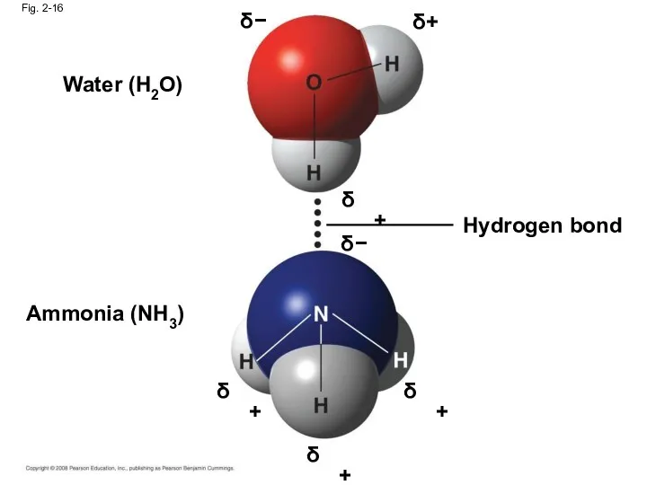 Fig. 2-16 δ − δ+ δ+ δ − δ+ δ+