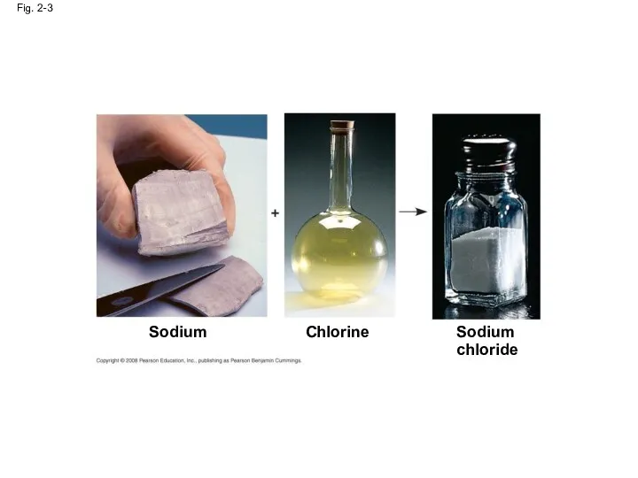 Fig. 2-3 Sodium Chlorine Sodium chloride