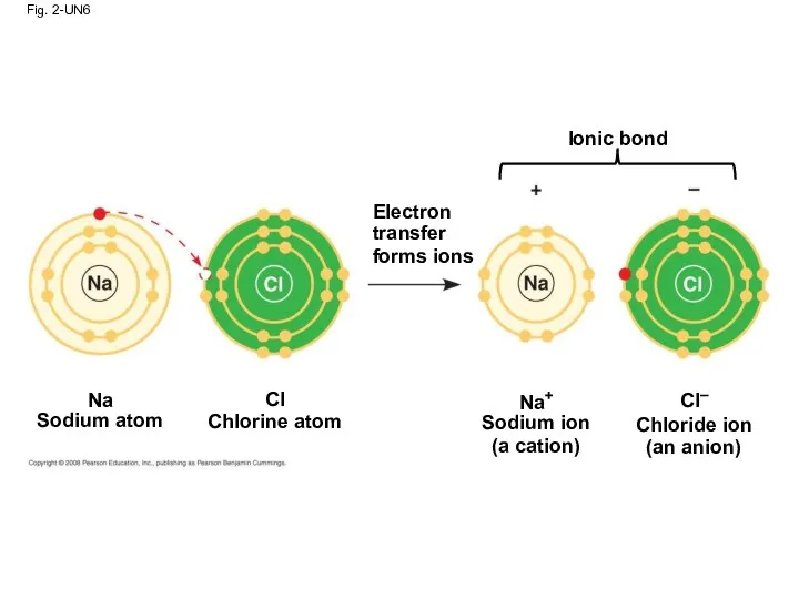 Fig. 2-UN6 Ionic bond Electron transfer forms ions Na Sodium