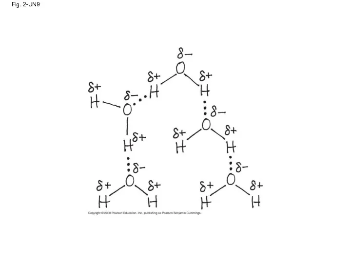 Fig. 2-UN9