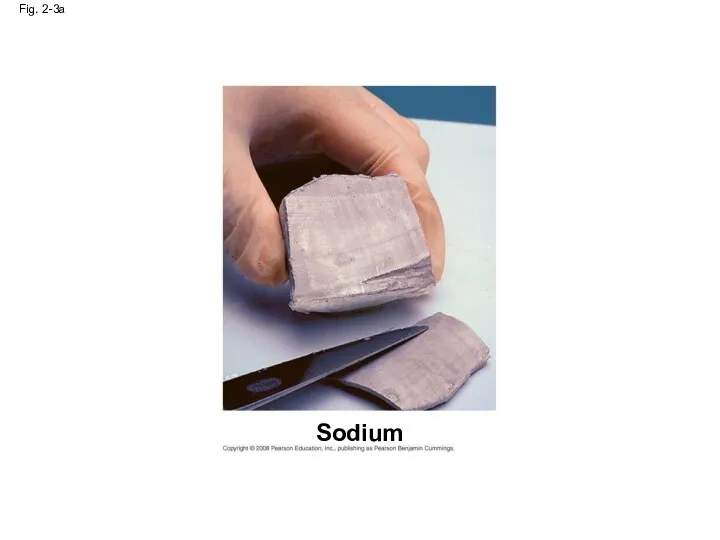 Fig. 2-3a Sodium