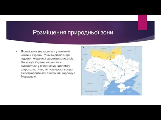 Розміщення природньої зони Лісова зона знаходиться у північній частині України.