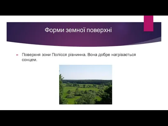 Форми земної поверхні Поверхня зони Полісся рівнинна. Вона добре нагрівається сонцем.