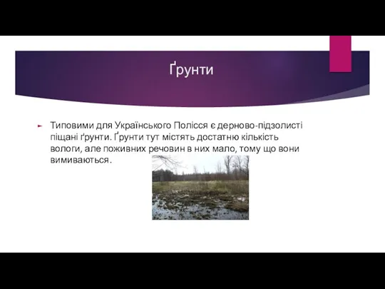 Ґрунти Типовими для Українського Полісся є дерново-підзолисті піщані ґрунти. Ґрунти