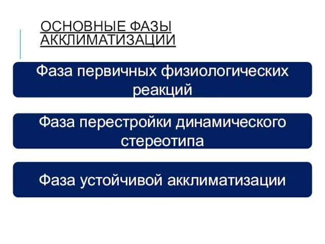 ОСНОВНЫЕ ФАЗЫ АККЛИМАТИЗАЦИИ Фаза первичных физиологических реакций Фаза перестройки динамического стереотипа Фаза устойчивой акклиматизации