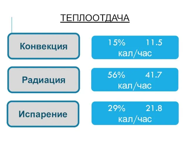 ТЕПЛООТДАЧА Конвекция Испарение Радиация 15% 11.5 кал/час 56% 41.7 кал/час 29% 21.8 кал/час