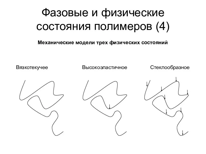 Фазовые и физические состояния полимеров (4) Механические модели трех физических состояний Вязкотекучее Высокоэластичное Стеклообразное