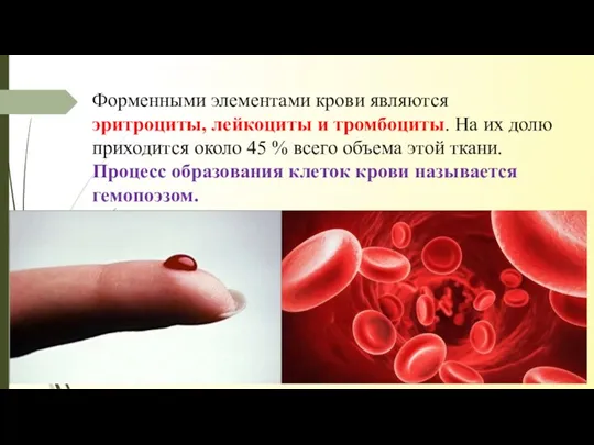 Форменными элементами крови являются эритроциты, лейкоциты и тромбоциты. На их