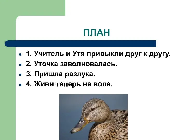 ПЛАН 1. Учитель и Утя привыкли друг к другу. 2.