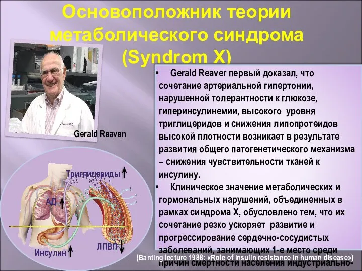 Основоположник теории метаболического синдрома (Syndrom X) Gerald Reaven Инсулин Триглицериды
