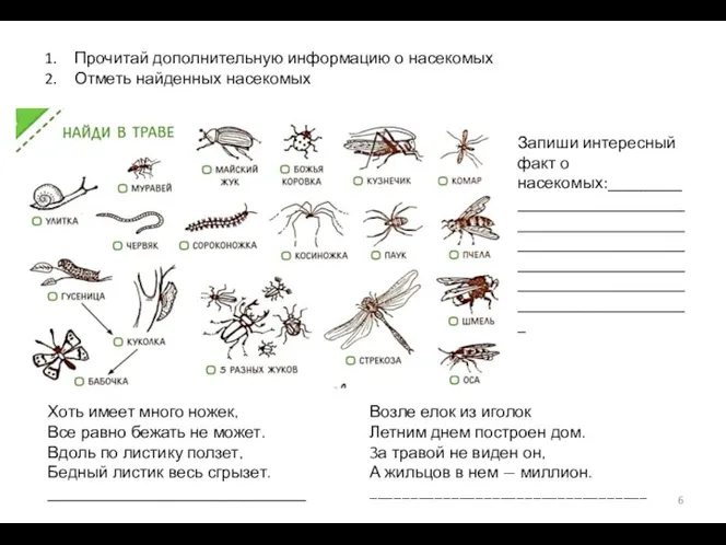 Прочитай дополнительную информацию о насекомых Отметь найденных насекомых Запиши интересный