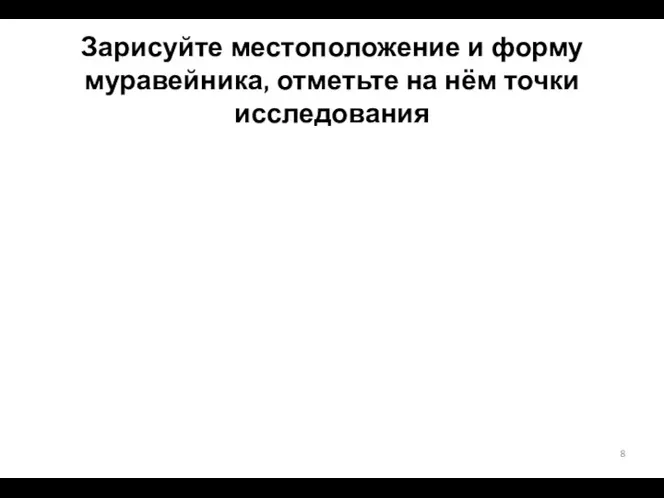 Зарисуйте местоположение и форму муравейника, отметьте на нём точки исследования