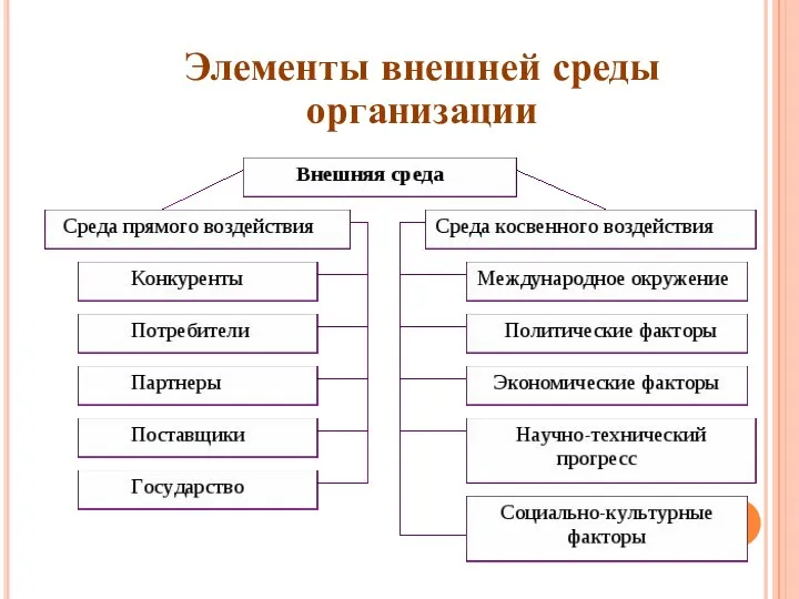 Элементы внешней среды организации