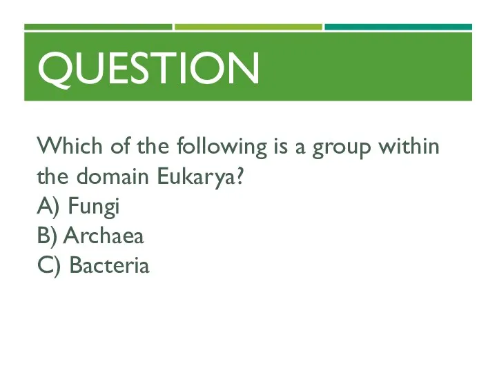QUESTION Which of the following is a group within the domain Eukarya? A)