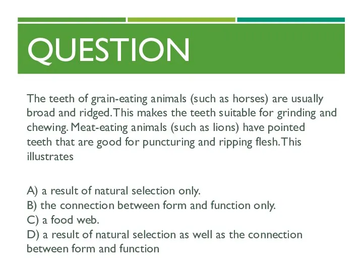 QUESTION The teeth of grain-eating animals (such as horses) are usually broad and
