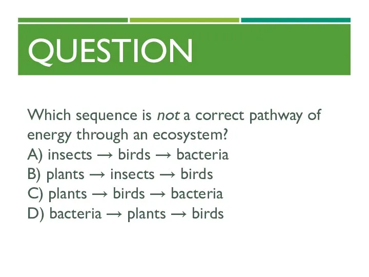 QUESTION Which sequence is not a correct pathway of energy through an ecosystem?