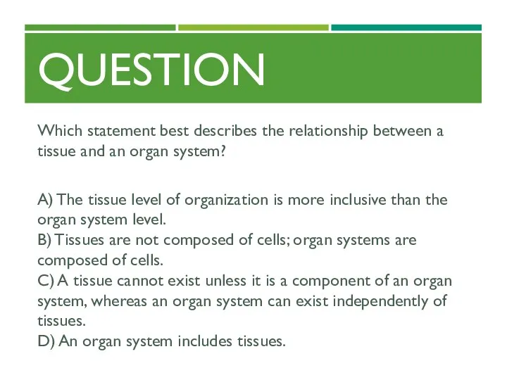 QUESTION Which statement best describes the relationship between a tissue and an organ