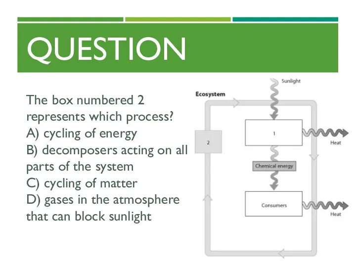 QUESTION The box numbered 2 represents which process? A) cycling of energy B)