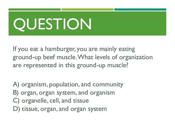 QUESTION If you eat a hamburger, you are mainly eating ground-up beef muscle.