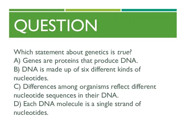 QUESTION Which statement about genetics is true? A) Genes are proteins that produce