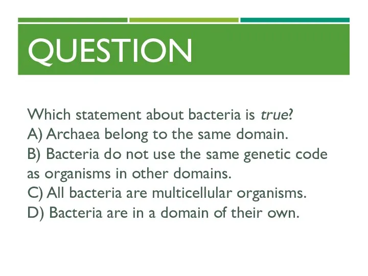 QUESTION Which statement about bacteria is true? A) Archaea belong to the same