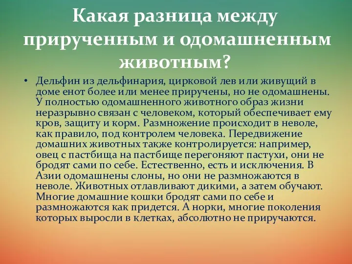 Какая разница между прирученным и одомашненным животным? Дельфин из дельфинария,