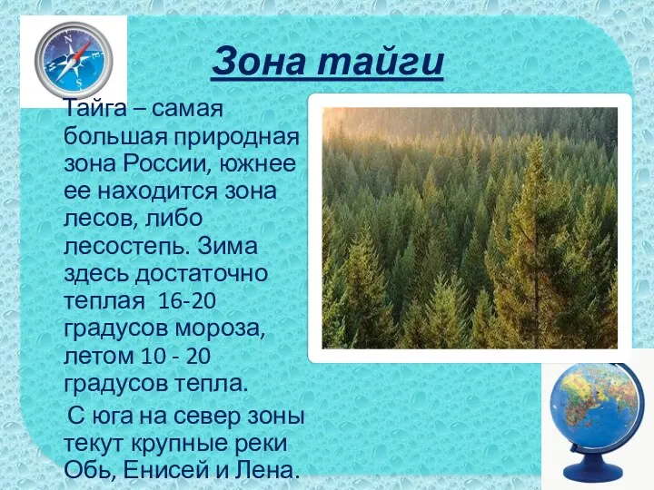 Зона тайги Тайга – самая большая природная зона России, южнее