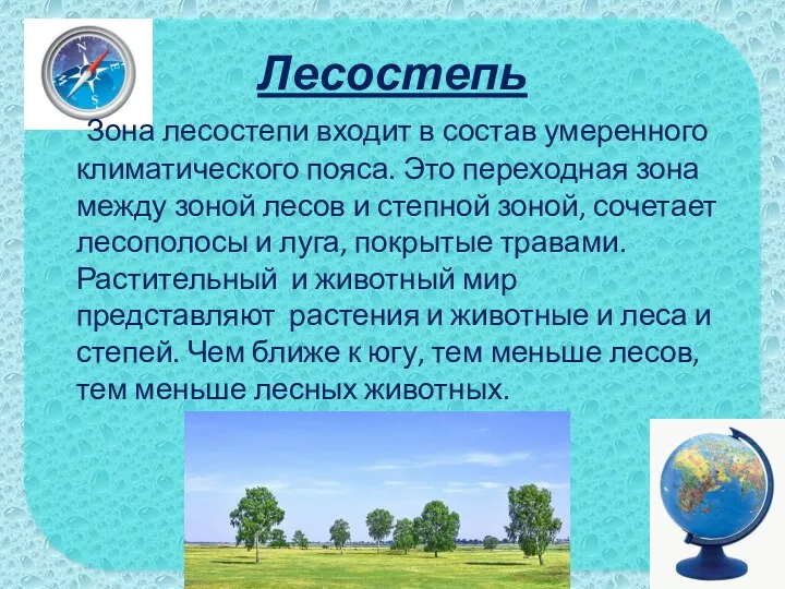 Лесостепь Зона лесостепи входит в состав умеренного климатического пояса. Это