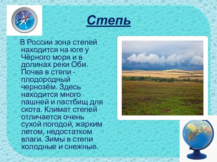 Степь В России зона степей находится на юге у Чёрного